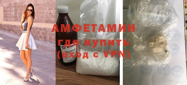 молекула духа Богородицк