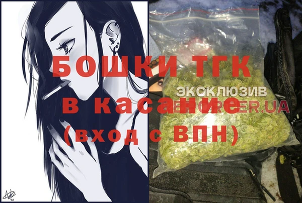 молекула духа Богородицк