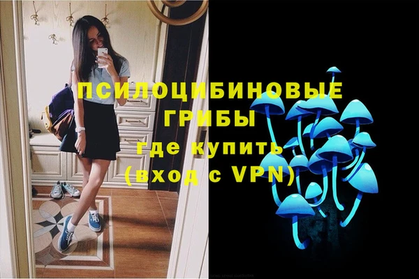 мяу мяу кристалл Богданович