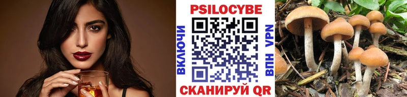Галлюциногенные грибы Psilocybe  Судак 